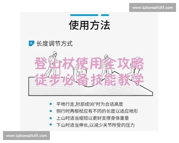 明星徒步同款！登山杖正确使用技巧全解析